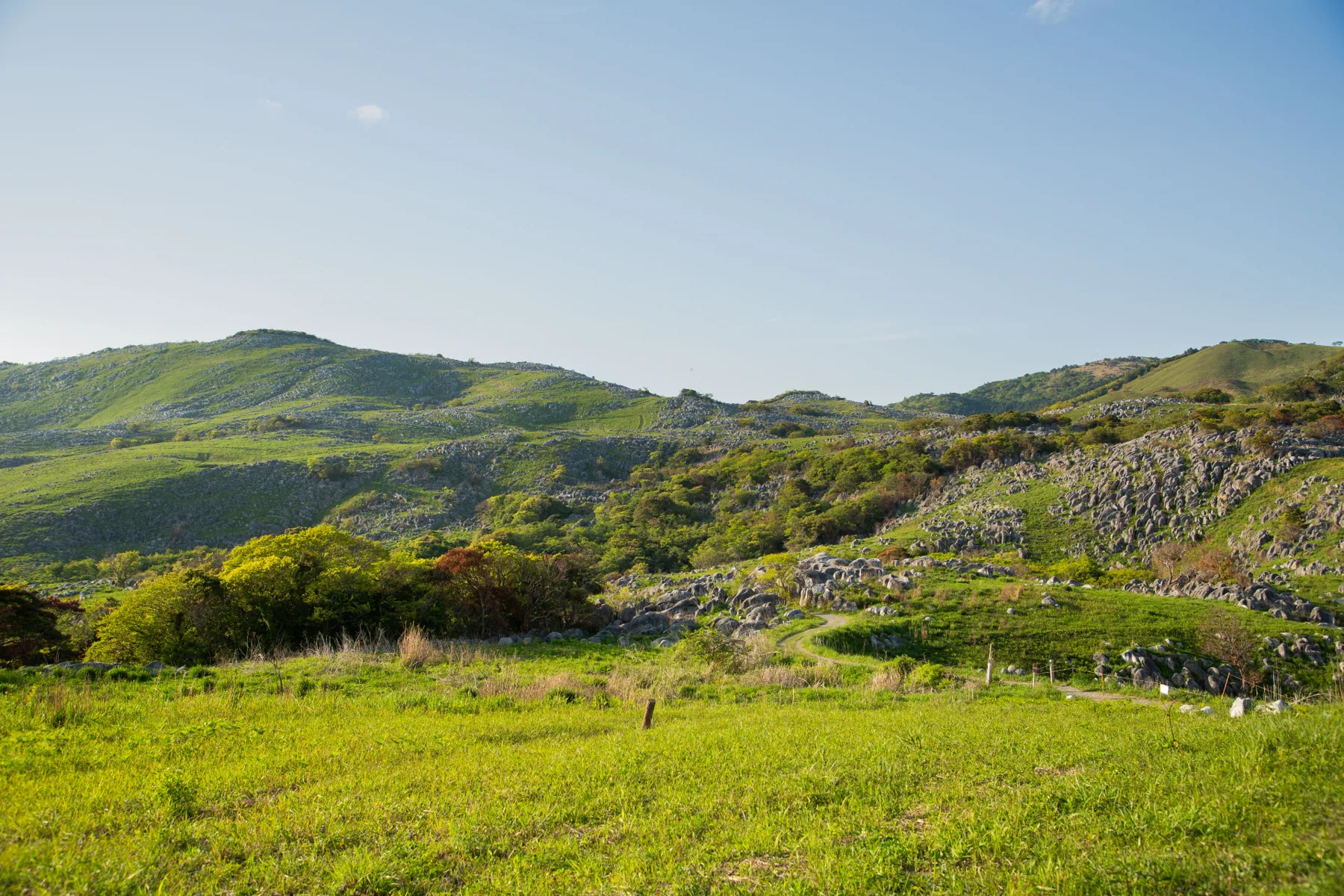 石灰岩と緑が広がる平尾台